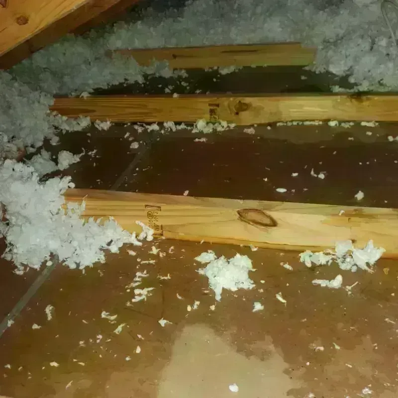 Attic Water Damage in Hamilton County, IL