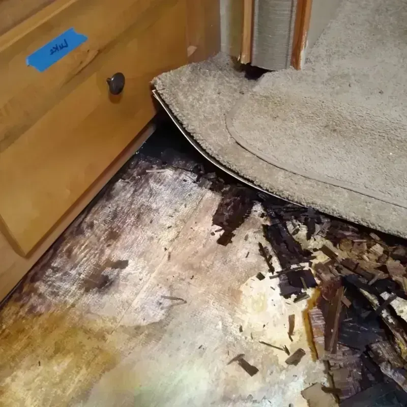 Wood Floor Water Damage in Hamilton County, IL